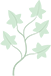 Efeuextrakt - Ivy (Hedera Helix) Symbol